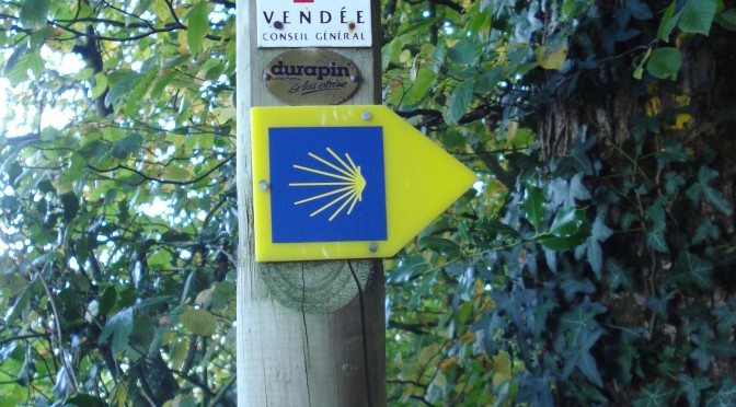 Bulletin d&rsquo;adhésion 2019